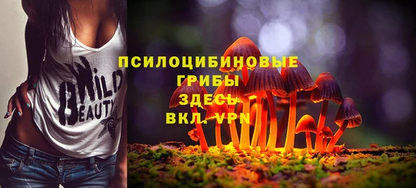 винт Новодвинск