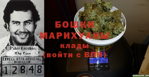 ALPHA PVP Беслан