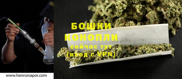 стафф Нефтегорск