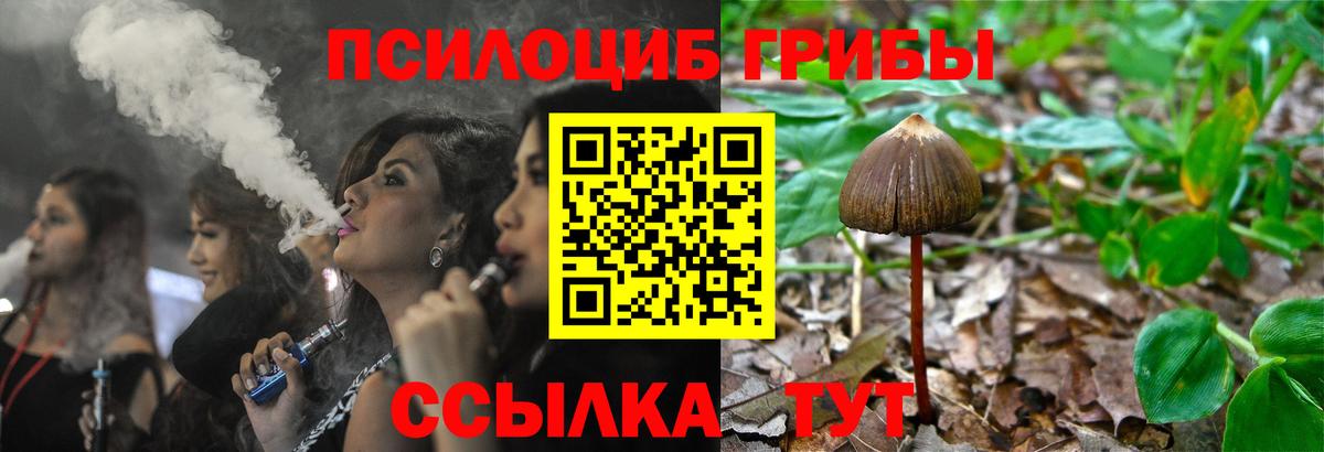 купить наркоту  Псилоцибиновые грибы ЛСД  Вход с VPN  Лиски 