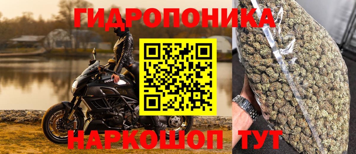 Канабис конопля  Лиски  Канабис SATIVA & INDICA  Конопля Bruce Banner  Канабис SATIVA & INDICA 